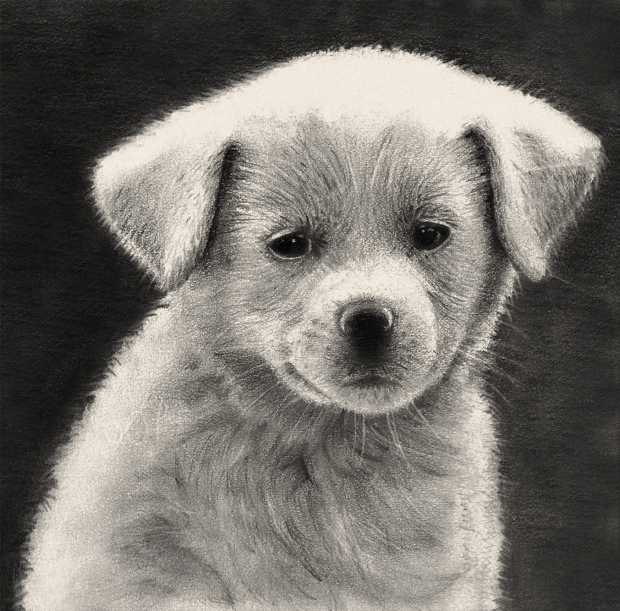 jedavu:  Stunning Pencil Drawing  By Egyptian artist Mostafa Abdelmawla 