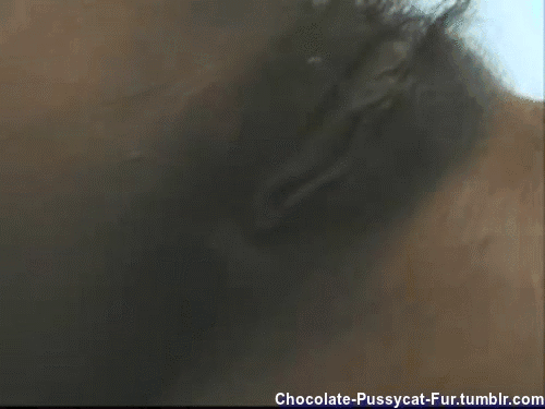 Hairy, Vintage, Retro, Chocolate Pussy Cats
