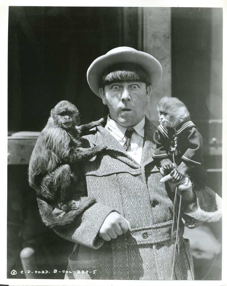 retrogasm :  FELIZ CUMPLEAÑOS MOE HOWARD!