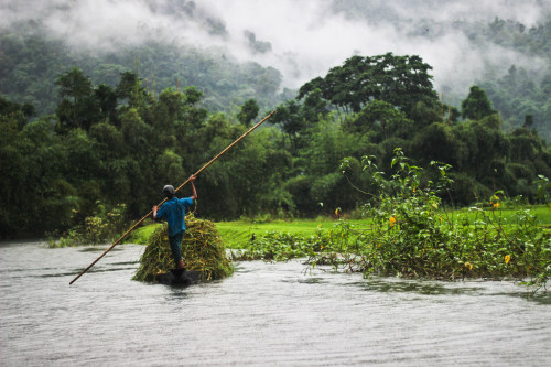 soon-monsoon: Pangthumai, Sylhet Division, Bangladesh by Samrat Zaps