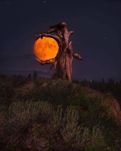 jaubaius: The moon blending into Yosemite falls,California 