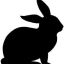 borealrabbit