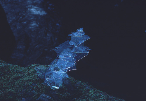 cosmicscripts:  Snow and ice sculptures by Andy Goldsworthy