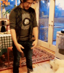parkleaf:dancing with doggies