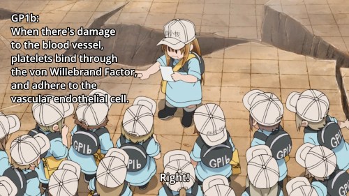 SPAMMING IN CAPS FOR ANIME/MANGA/GAMES LOL — HATARAKU SAIBOU EP 1