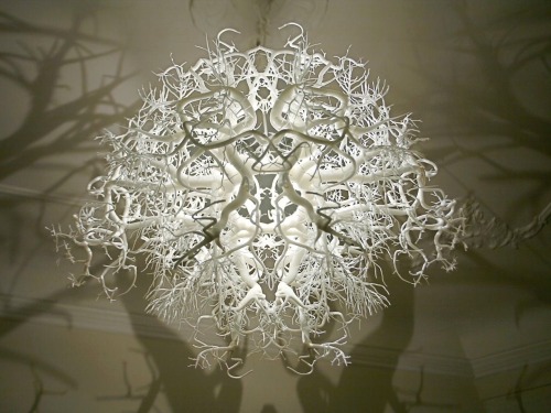 thisisfandom:itscolossal:This chandelier from Hilden &amp; Diaz projects the shadow of a forest 