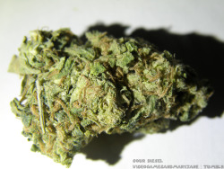 videogamesandmaryjane:  Sour Diesel from