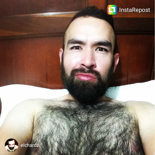 Oliviero 4 hairy!