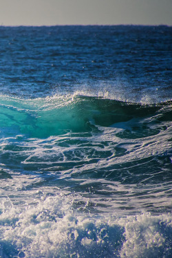 earthyday:  Ocean Waves © Barry Thomas 