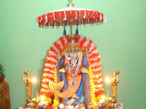 My Perumal (Vishnu) as Matsya Avatara