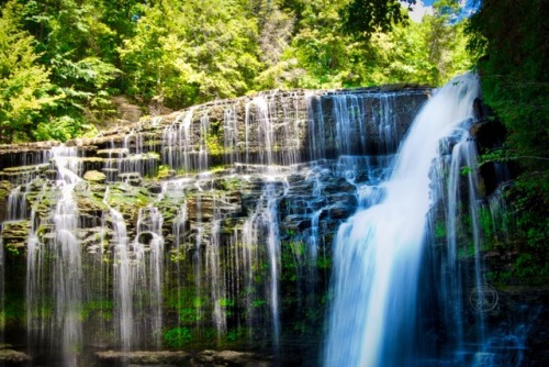 Cummins Falls State Park, Tennessee (where most of my butterfly pictures were taken )@photographya