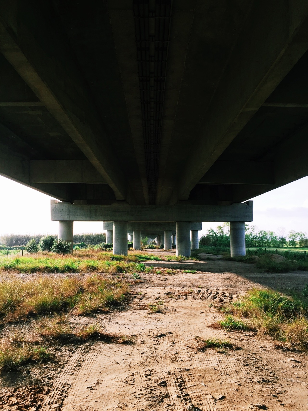 danielodowd:  http://nunodores.vsco.co/