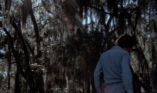 marypickfords: Frogs (George McCowan, 1972) 