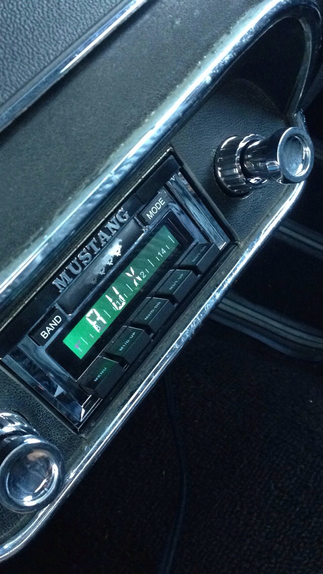 Ford Mustangs