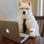 smartolddog