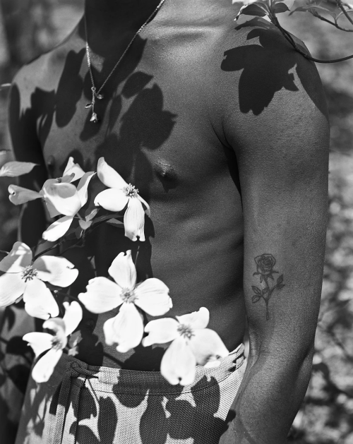 forestgreenlesbian:  SOUL FLOWER - TAVON TAYLOR