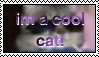 i'm a cool cat