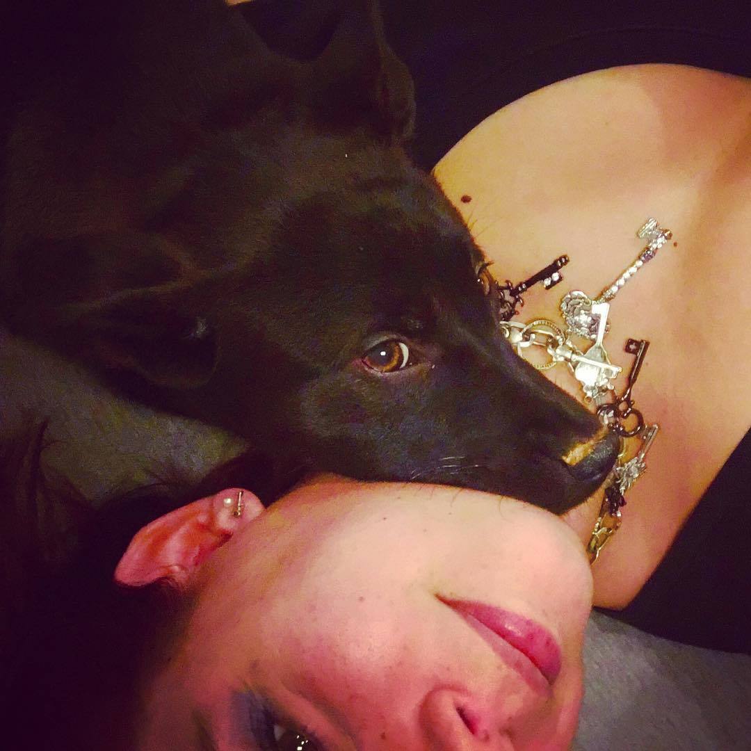 bloodyredqueen:  Puppy loves 