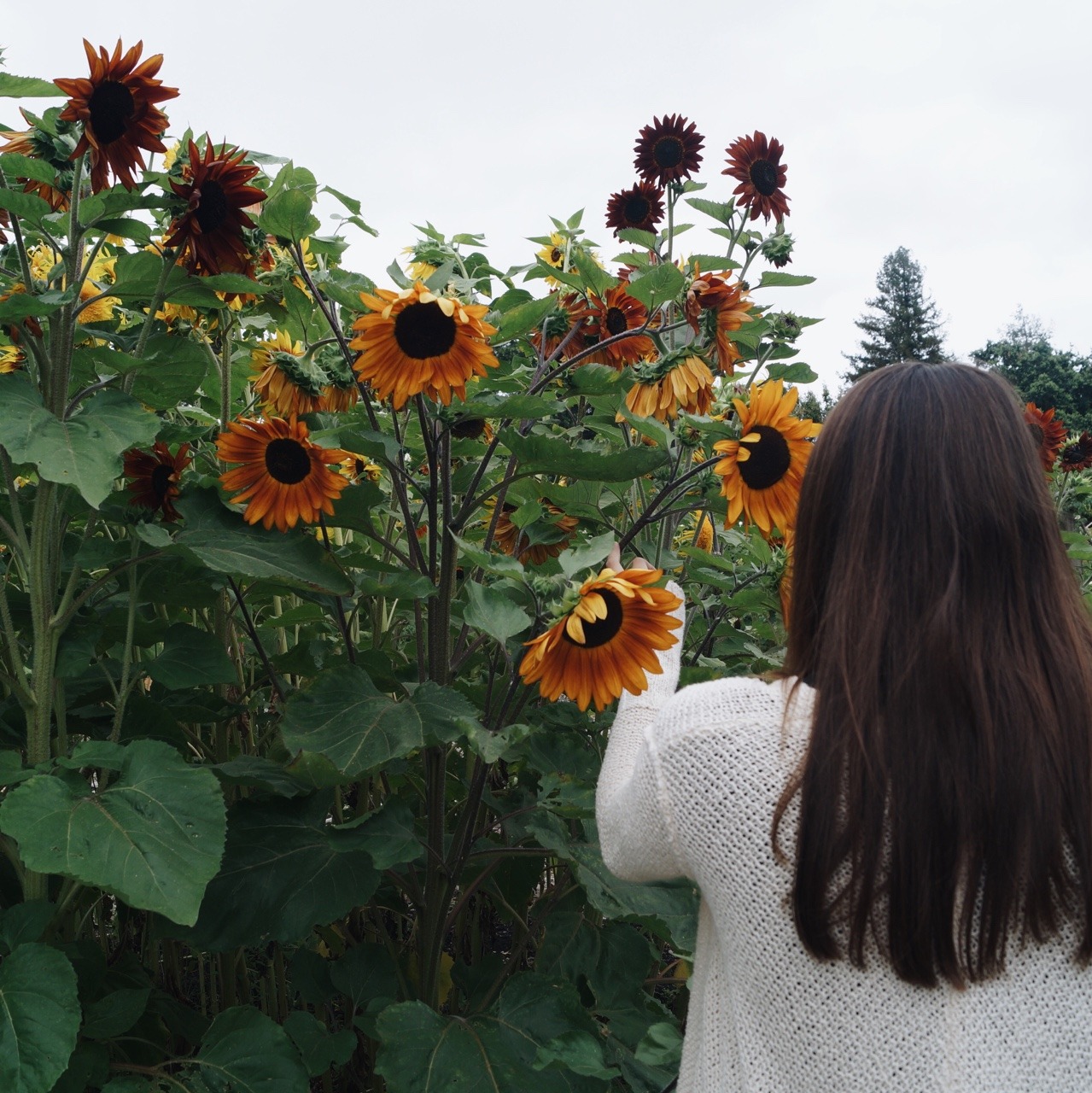incalescentheart:  some days you feel as if the chaos will consume you, but other