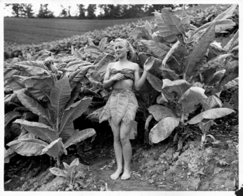 Lena Zimmerman, Tobacco Queen, 1946.