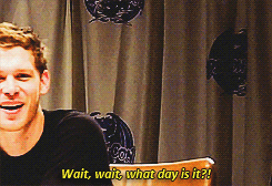 steviebuchanans-deactivated2016:  Joseph Morgan being Joseph Morgan at DragonCon