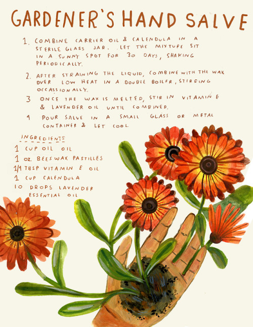 Calendula is well loved for its ability to heal wounds. Using harsh chemicals on your hands can ofte