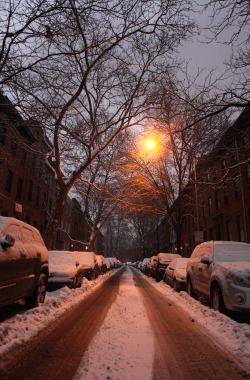 newyorkcityfeelings:Cobble Hill, Brooklyn, Feb. 2 by nighswander