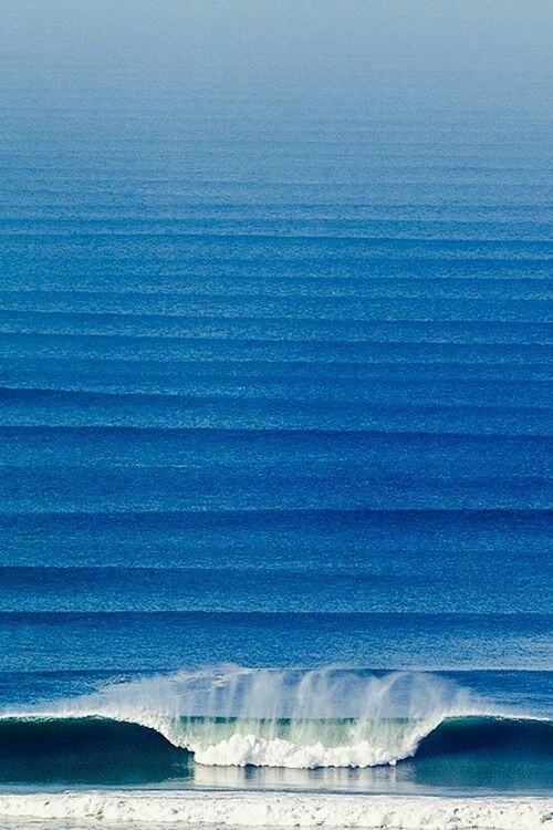 bacteriia:  Ocean x Us