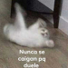 tumblr photo she-live-life-without-limits 19