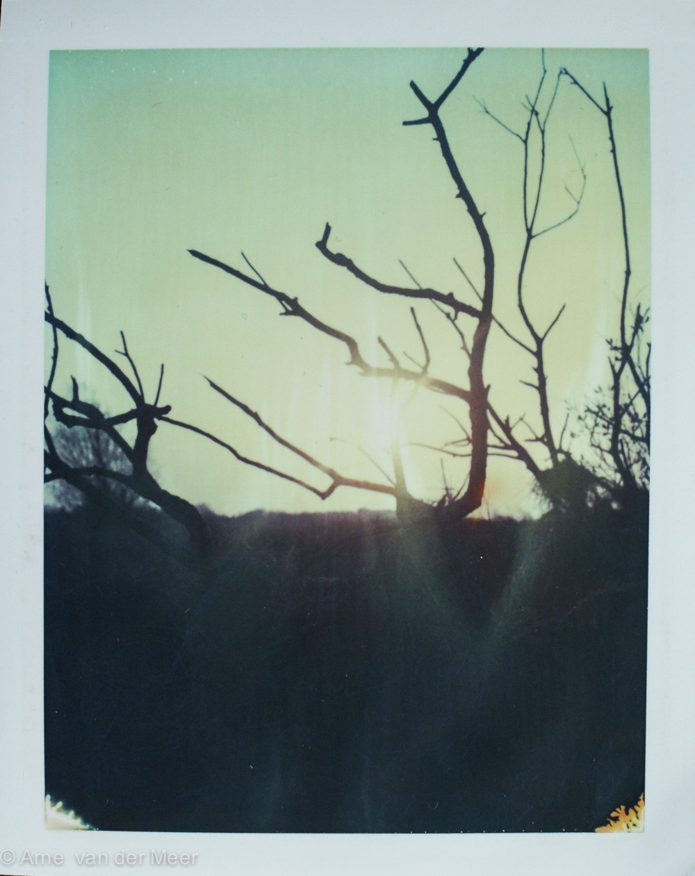 my sundown
Camera: Polaroid 600SE
Film: Polaroid 669