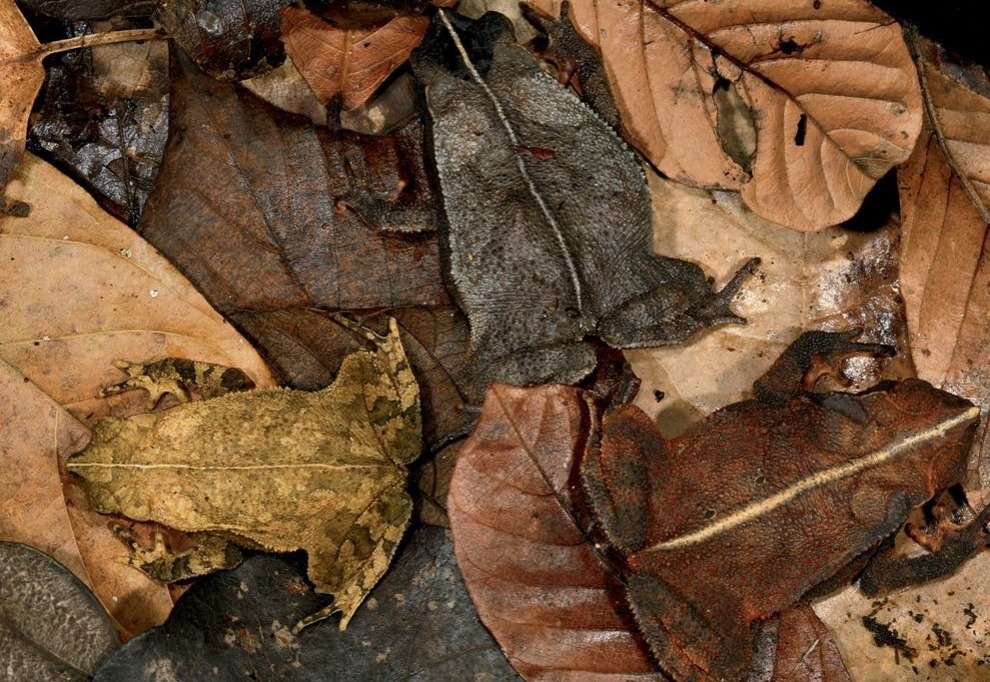 nubbsgalore:  &ldquo;dead leaves and the dirty ground, when i don’t know you’re