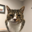 tremendouszipperoperaturkey