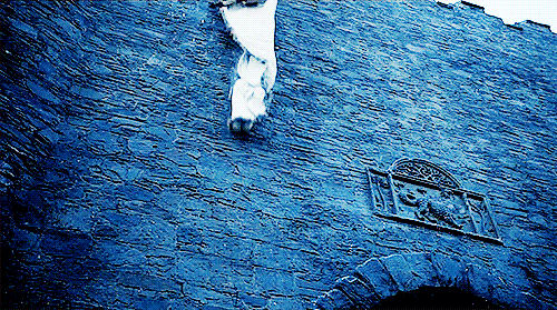hardyness:The return of the Stark banner to Winterfell