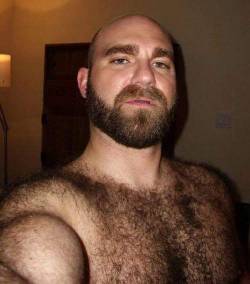 realmenstink:A THICK SEXY BUNDLE OF FUR !!!