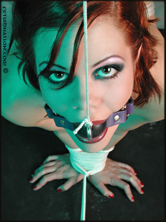 Bound to please