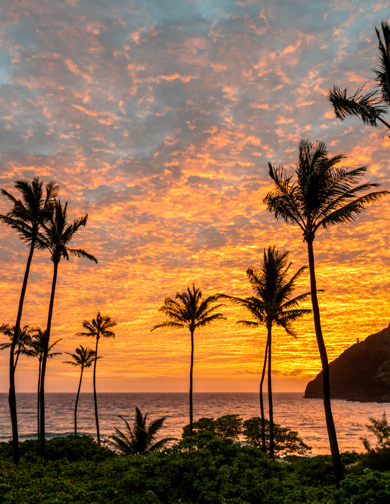 inmysparetime13:  wslofficial:  Volcanic sky.Photo | Grant Taylor  Gorgeous  Amazing