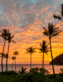 Inmysparetime13:  Wslofficial:  Volcanic Sky.photo | Grant Taylor  Gorgeous  Amazing