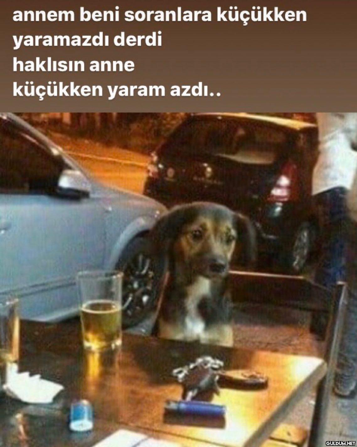 annem beni soranlara...