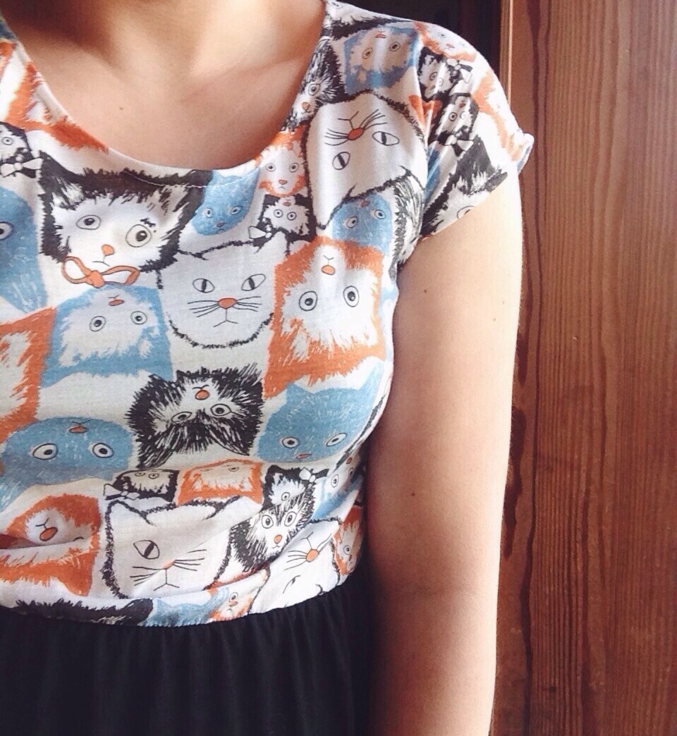 laalalalalaa:  🐱