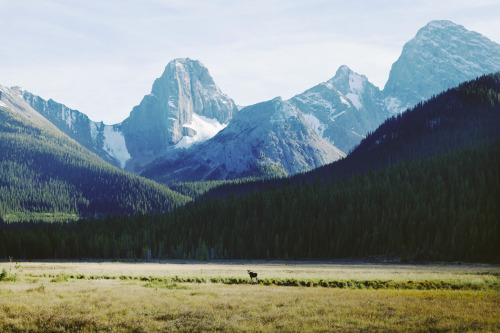 alexstrohl:7 day road trip through Alberta, Canada for Explore Canada & Travel AlbertaJared Cham
