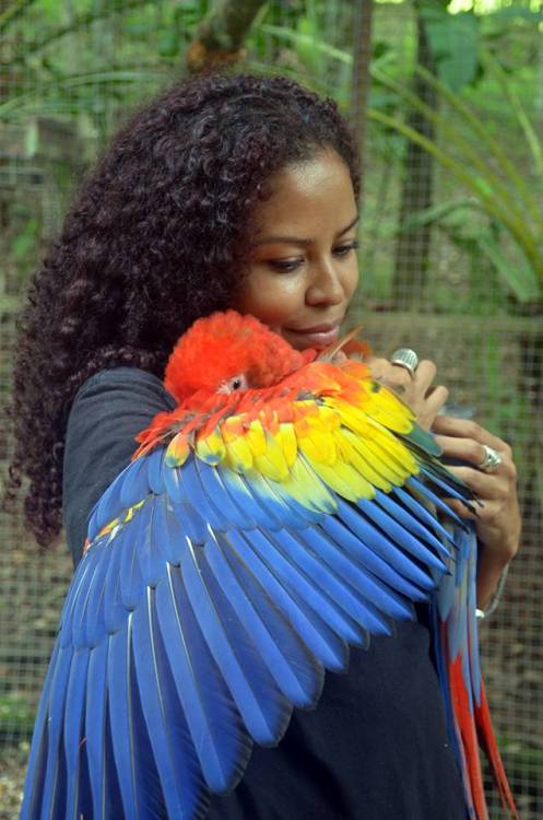 crystallinecrow:walkingoutintherain:becausebirds:parrot-pictures:Best HugA good hug right when you n