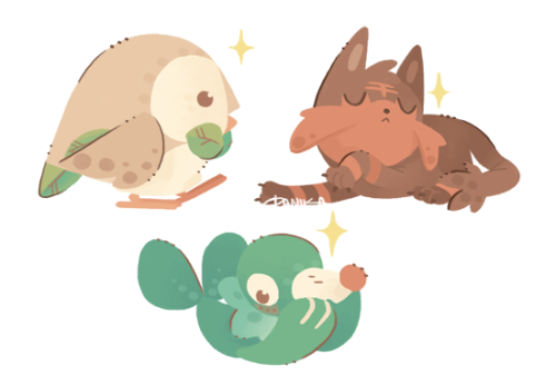 egg-noodle: The new starters are so cute!!