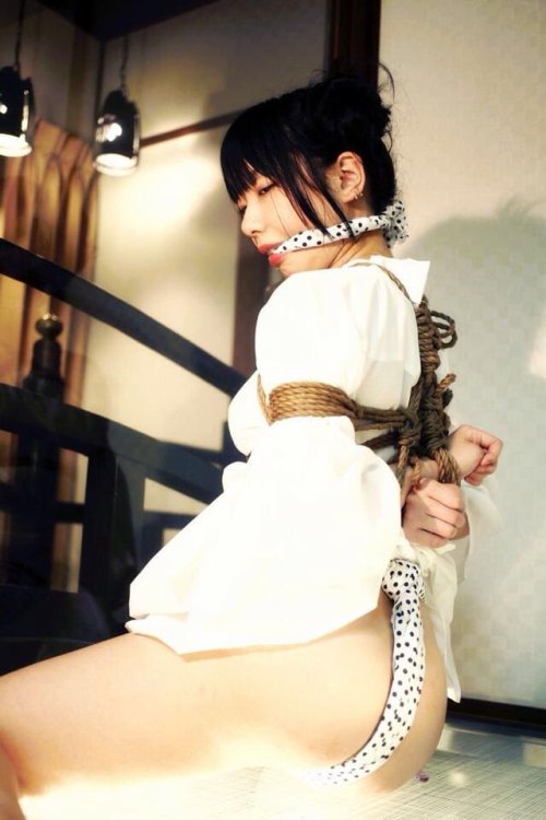 thevertigonetwork:  Shibari:Kasumi HouraiModel:Sakura FushimiPhoto:Kickring Sousui 