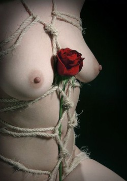 ballerinabondagefairies:  Rough rope, delicate petals..