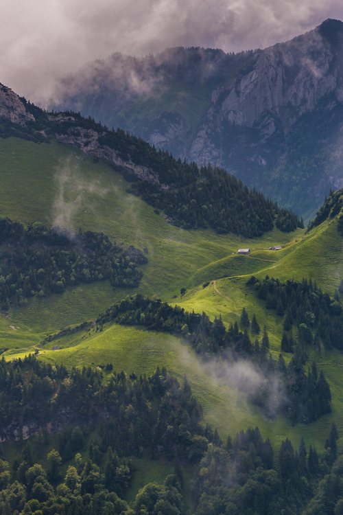 tearingdowndoors:  Appenzellerland || pboehi 