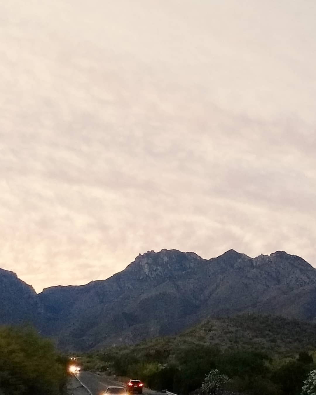 #tucson has some beautiful #mountains
https://www.instagram.com/p/BxppLUihDaA/?igshid=msv46wqtmxha