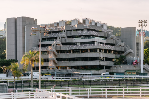 Terraces and pyramidal shape facing the sports field to the south, a closed solid wall façade and a 