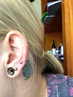 sbrad129:  New stretchers and my new piercings