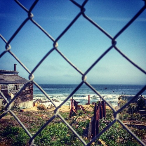 Beautiful blight on the coast #Monterey #california #norcal #fence #pacificocean (at Cannery Row)