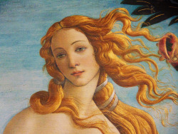 malinconie:  Sandro Botticelli, The Birth of Venus, 1482-1485, details 